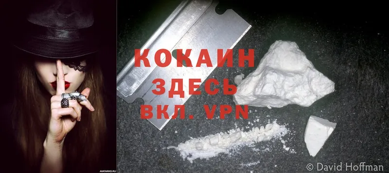 цена   Игра  Cocaine Эквадор 