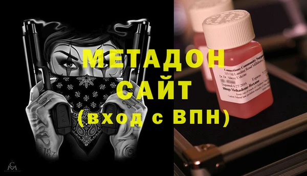сатива Новодвинск