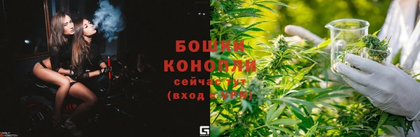 каннабис Новокубанск