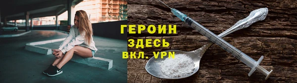 сатива Новодвинск