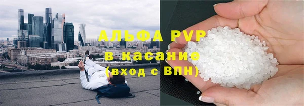 сатива Новодвинск