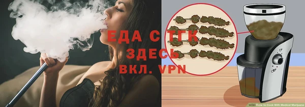 сатива Новодвинск