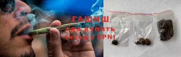 сатива Новодвинск