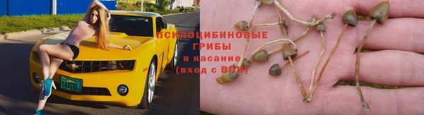 каннабис Новокубанск