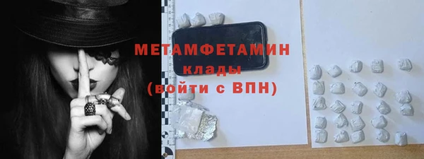 сатива Новодвинск