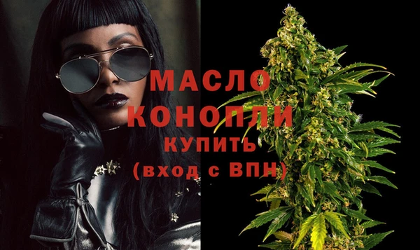 сатива Новодвинск