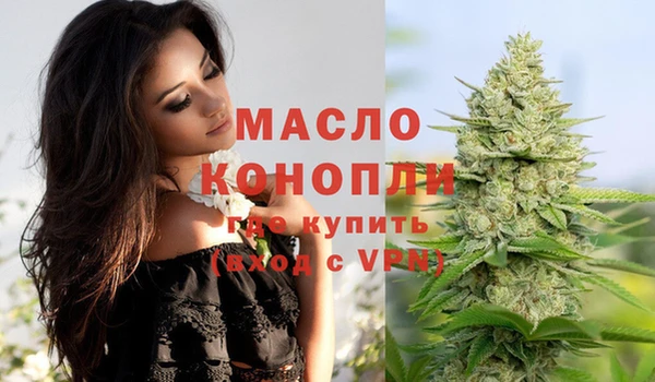 сатива Новодвинск