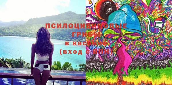сатива Новодвинск