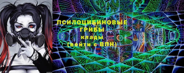 соль курить ск Новозыбков