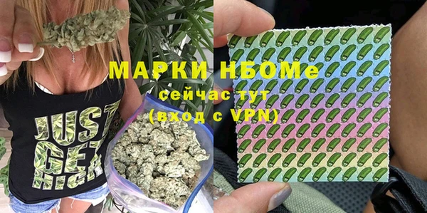 соль курить ск Новозыбков