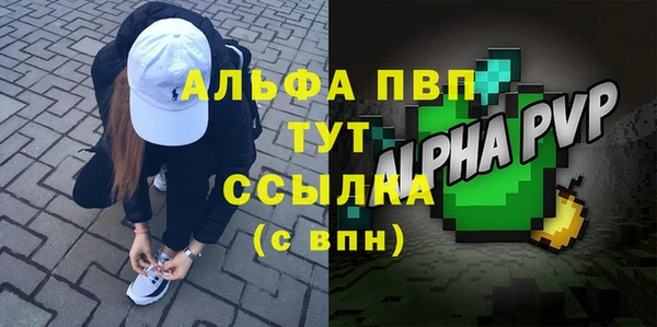 сатива Новодвинск