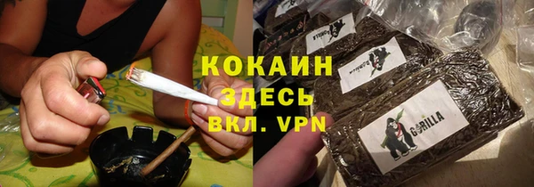 дживик Сосновка